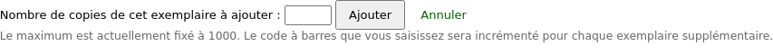 The buttons under the add item form are replaced by 'Number of copies of this item to add' with an input box in which to enter the number